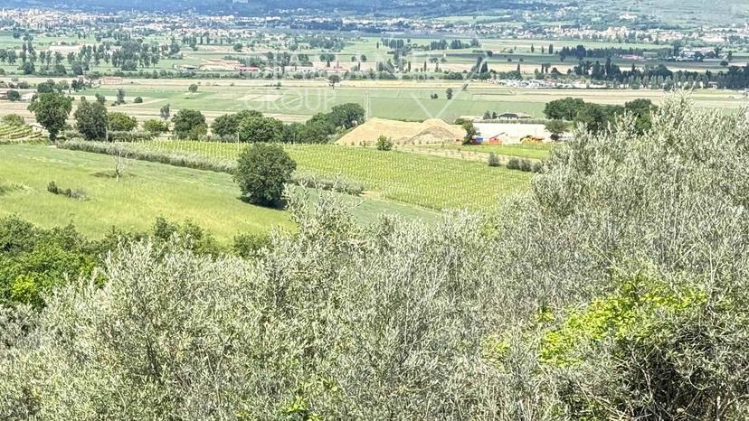 Casa colonica, Montefalco — foto 2 di 5