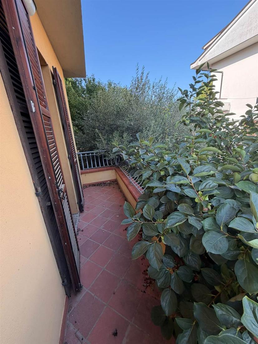 Trilocale, Osimo