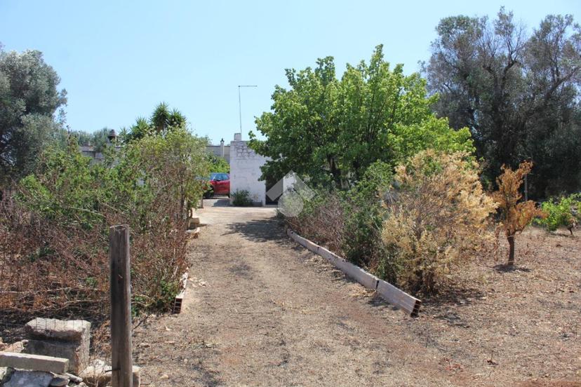 Rustico in Contrada Sperti, Carovigno — foto 2 di 5
