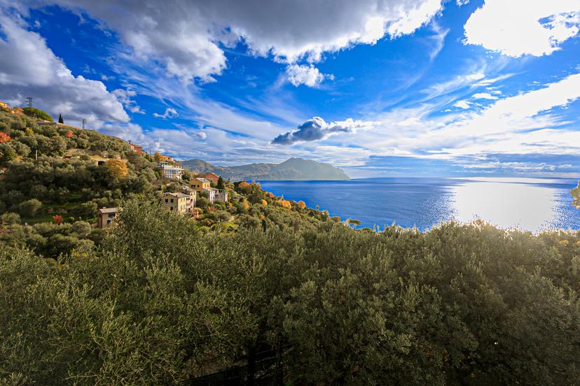 Casa indipendente in Via Roma 174, Pieve Ligure — foto 5 di 5