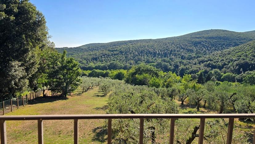 Rustico in Vocabolo Vallenera 24, Lugnano in Teverina — foto 4 di 5