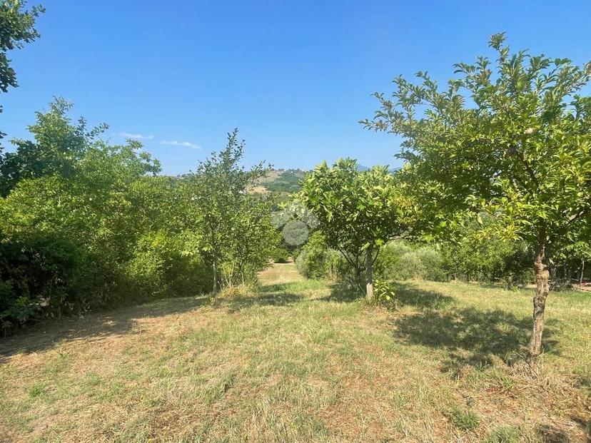 Casa indipendente in Via Salato 5, San Leucio del Sannio — foto 2 di 5
