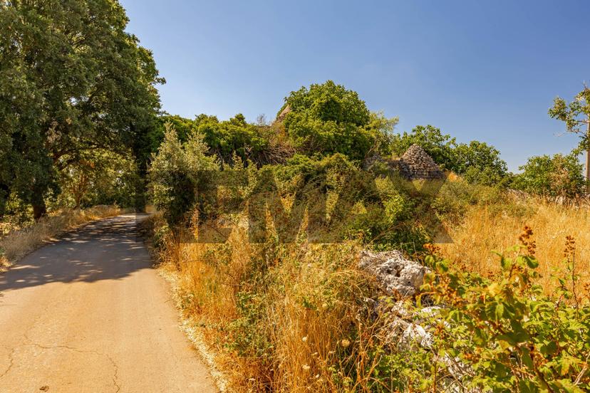Rustico in Contrada Paretano Snc, Monopoli — foto 5 di 5