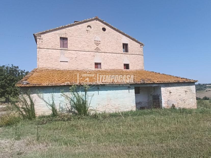 Casa indipendente, Ostra