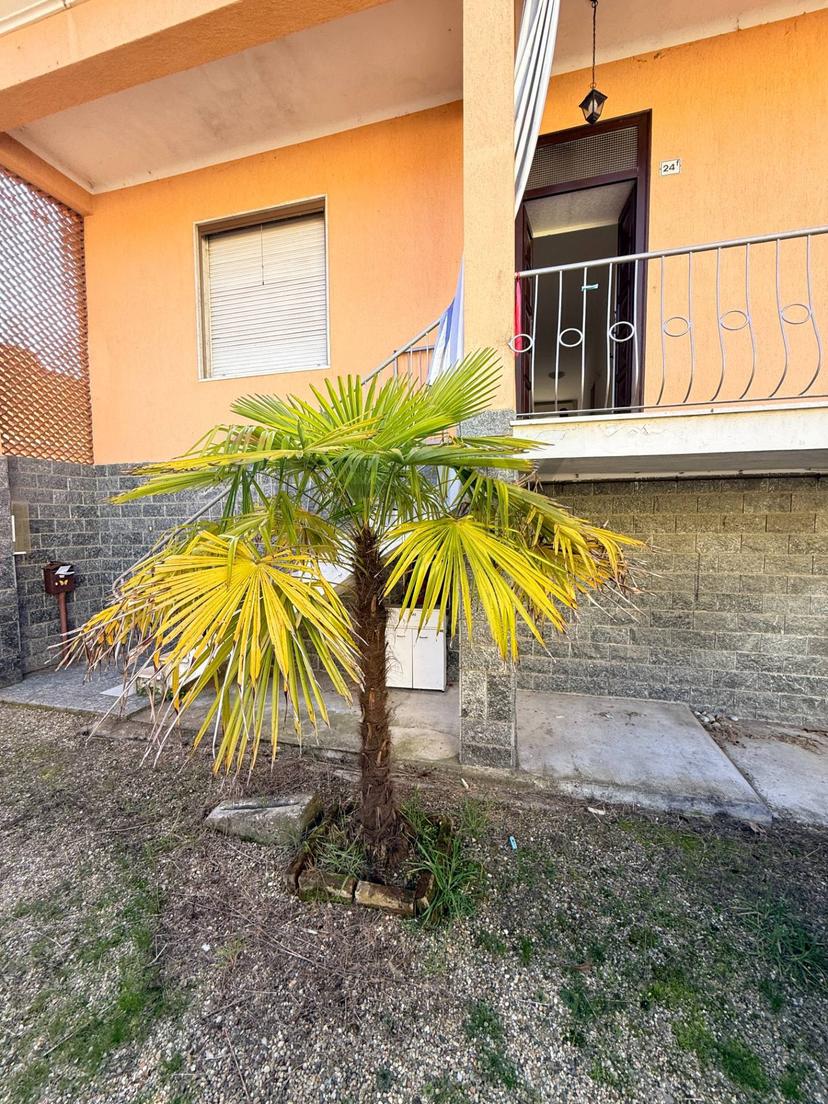 Casa indipendente in Via Principale 24, Borgarello — foto 2 di 5