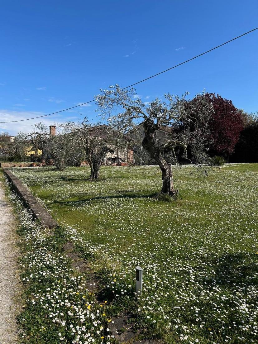 Terratetto in T. Romagnola Est, San Miniato — foto 2 di 5
