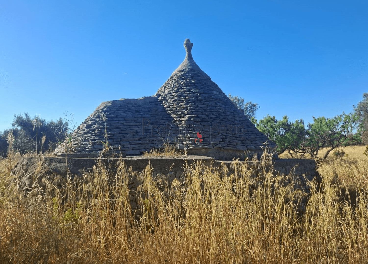 Rustico, San Vito dei Normanni