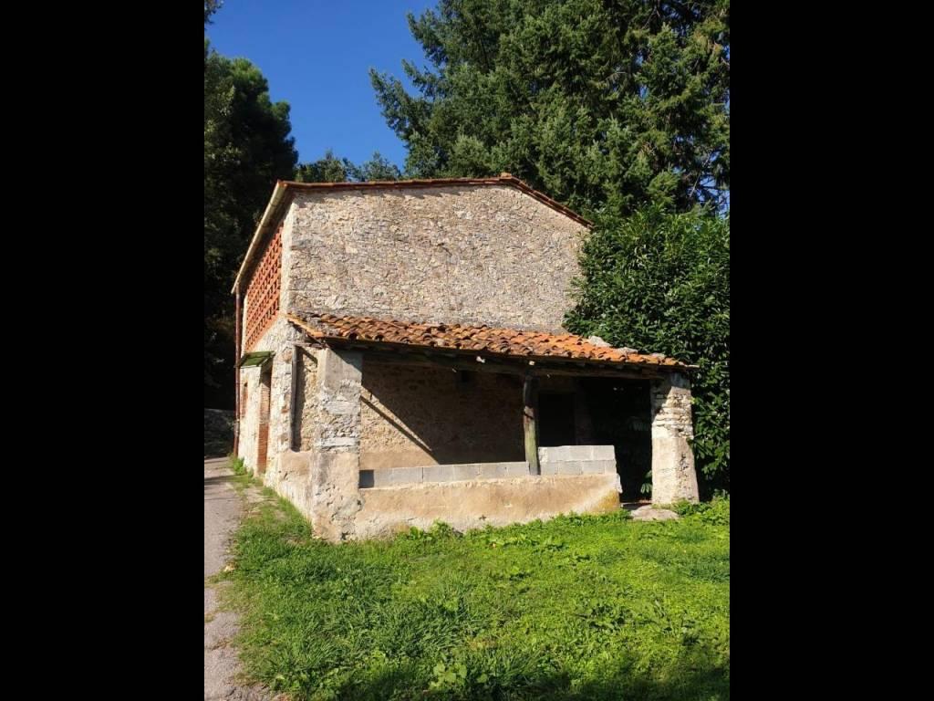 Rustico, Pescaglia