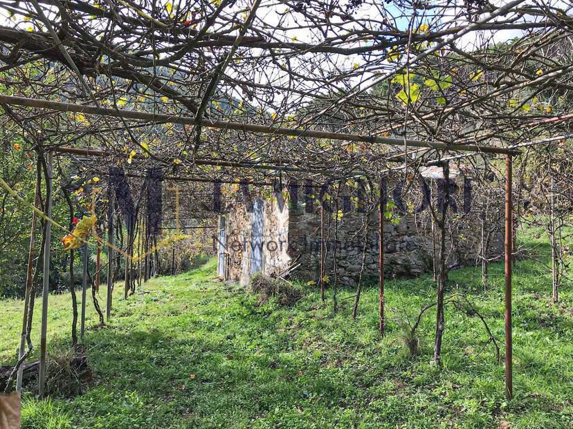 Casa indipendente, Calci — foto 4 di 5