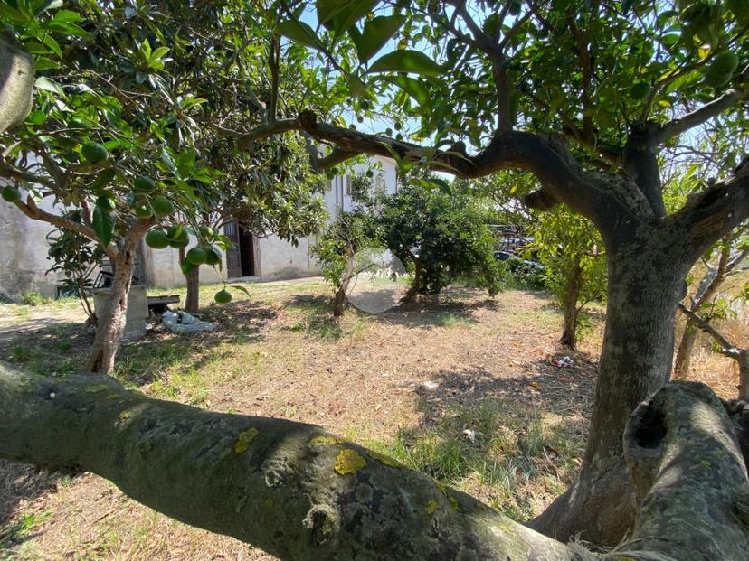 Casa indipendente in Via Gaiarda 35, Capaccio — foto 5 di 5