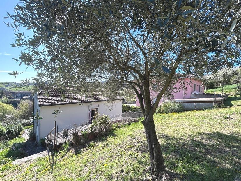 Casa indipendente in Strada Provinciale 4 4, Vernasca — foto 4 di 5