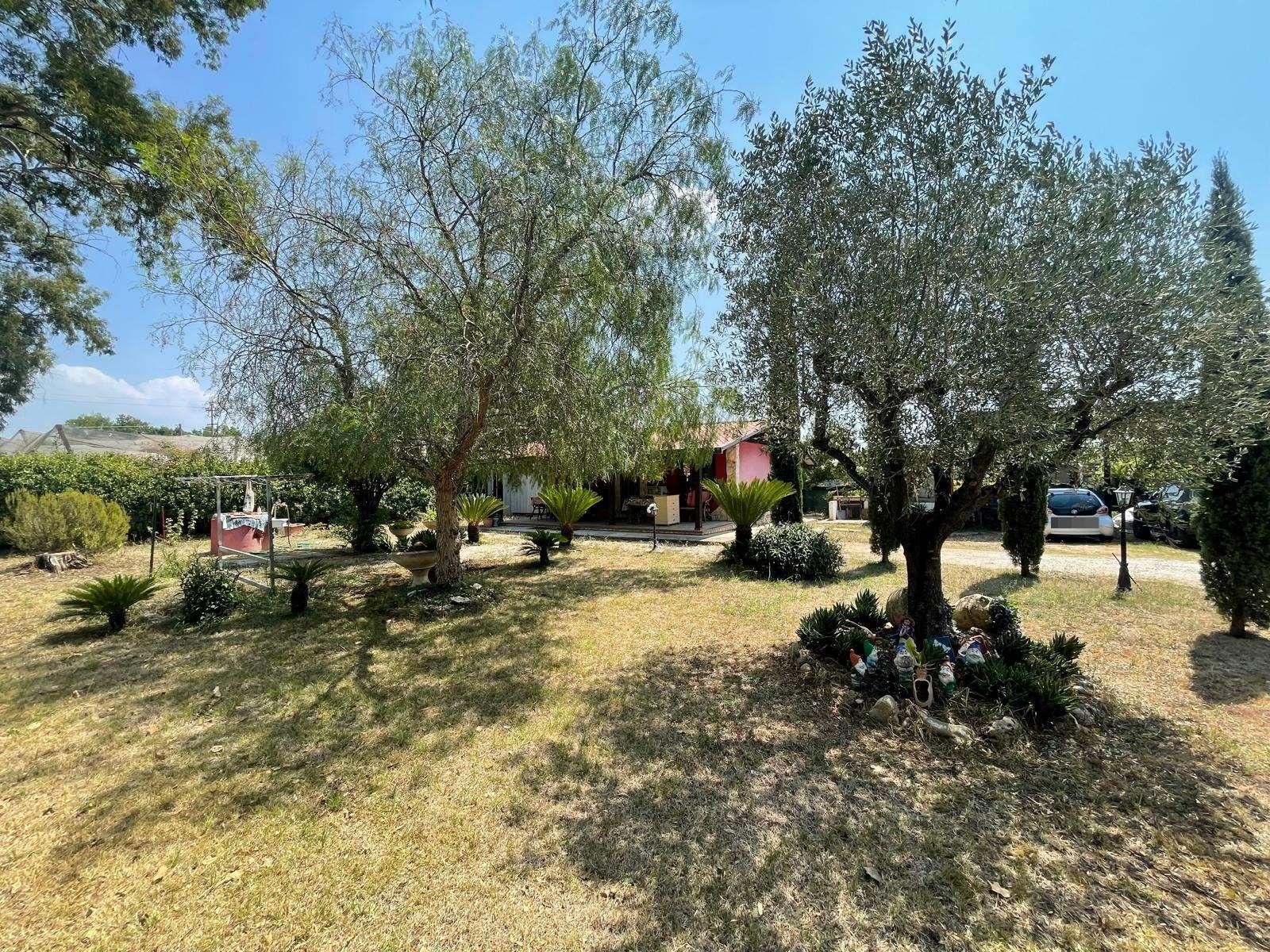 Casa indipendente, Latina