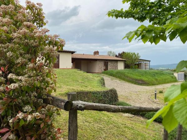Villa a schiera in Strada Provinciale del Monte Amiata, Pienza