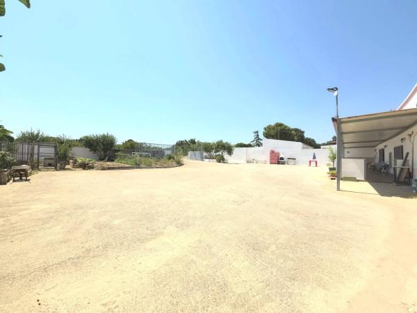Villa, Santeramo in Colle — foto 4 di 5