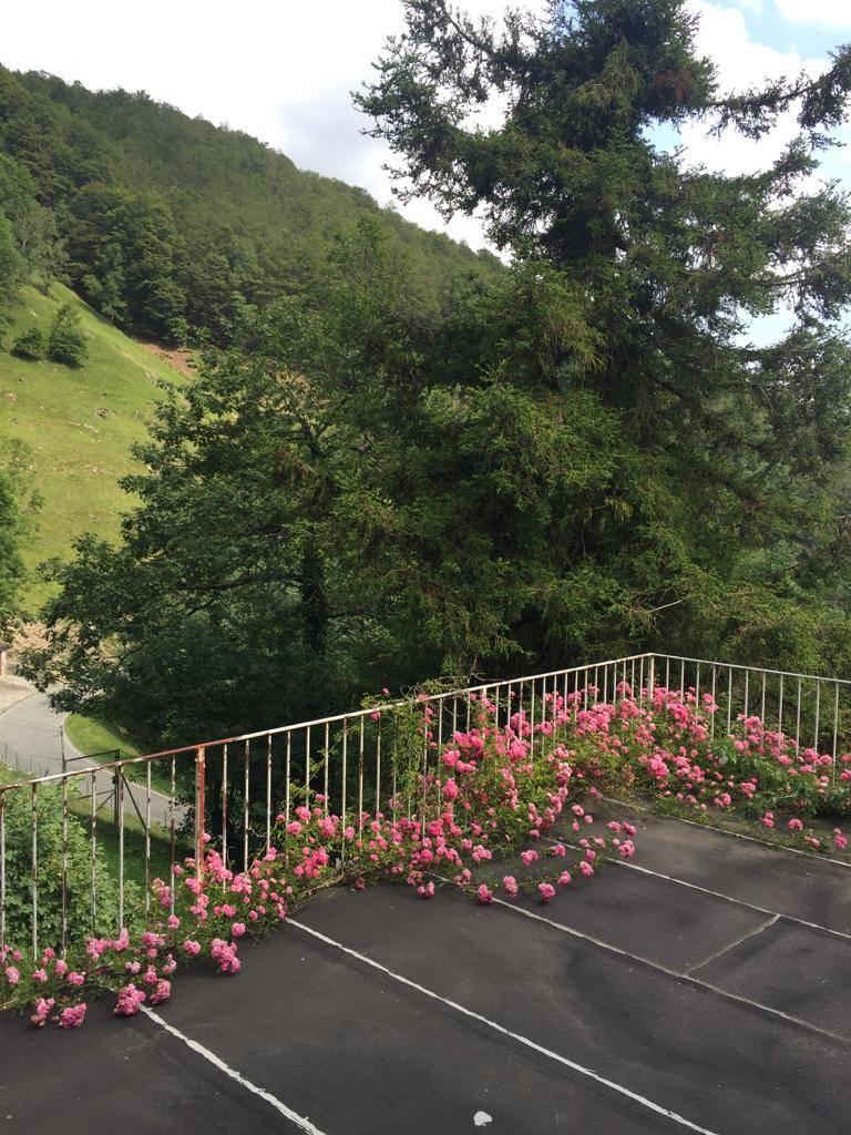 Villa in Frazione Costa, Fobello — foto 4 di 5