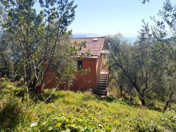 Villa bifamiliare in Via Giulio Canedoli, Portovenere — foto 3 di 5