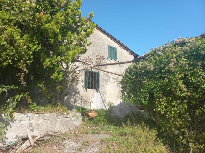 Rustico, Molazzana — foto 2 di 5