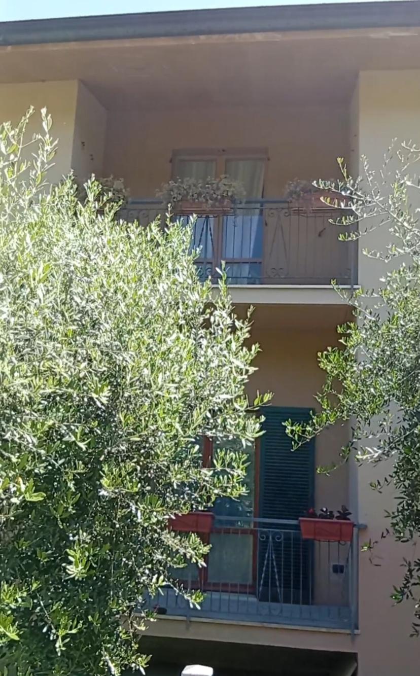 Trilocale in Via Giovanni Boccaccio, Petriano — foto 5 di 5