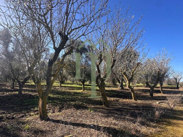 Casale in Strada Comunale 3, Brindisi — foto 4 di 5