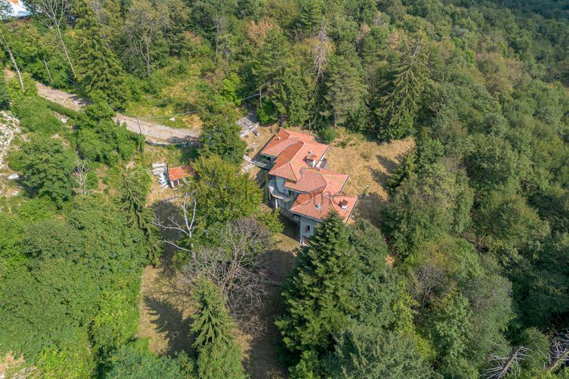 Villa, Erba