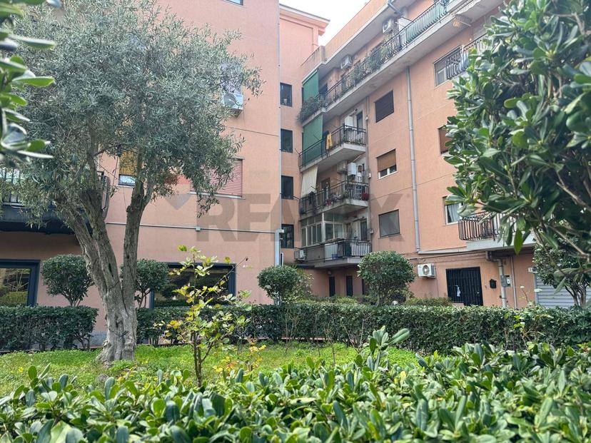 Appartamento in Via Balatelle 18/a, San Giovanni la Punta — foto 4 di 5