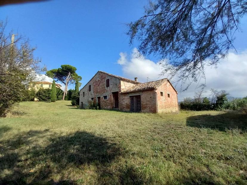 Rustico, Osimo — foto 3 di 5