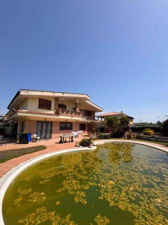 Villa bifamiliare in Via delle Camelie 38, Nettuno — foto 3 di 5