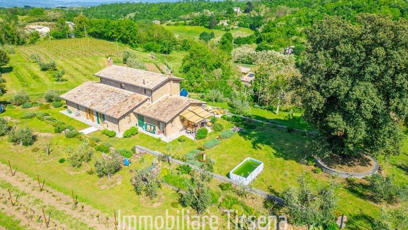 Casale, Orvieto — foto 4 di 5