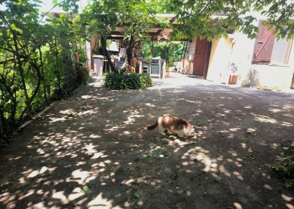 Villa, Lauriano — foto 5 di 5