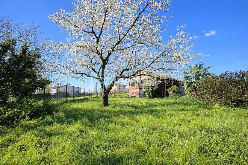 Casa indipendente in Via Moncrivello, Cigliano — foto 2 di 5
