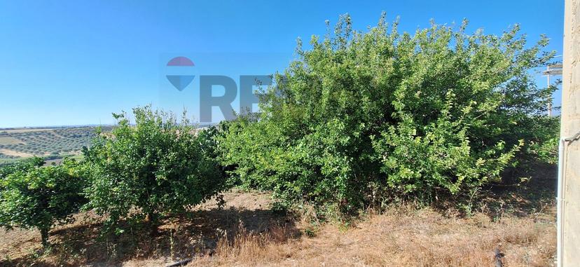 Rustico in Contrada Benuini Snc, Noto — foto 3 di 5