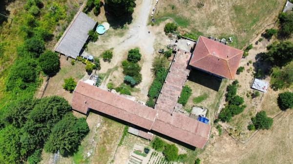 Casale, Varese Ligure — foto 2 di 5