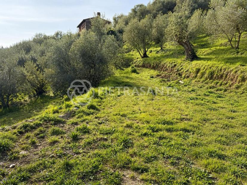 Rustico, Camaiore — foto 2 di 5