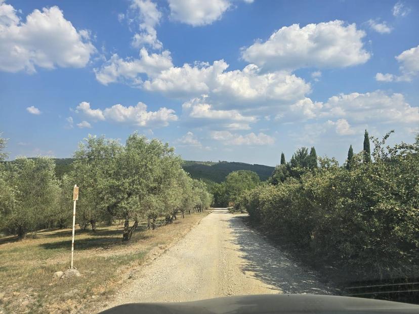Casa indipendente, Radda in Chianti — foto 4 di 5
