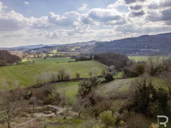 Rustico in Strada Regionale Maremmana, Pitigliano — foto 2 di 5