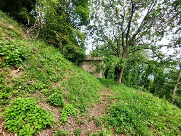 Cascina, Pertica Bassa — foto 5 di 5