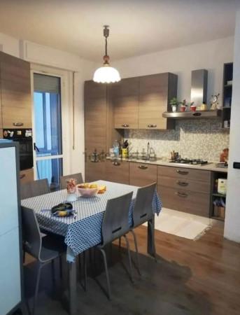 Quadrilocale in Via Angiolo Badaloni, Livorno