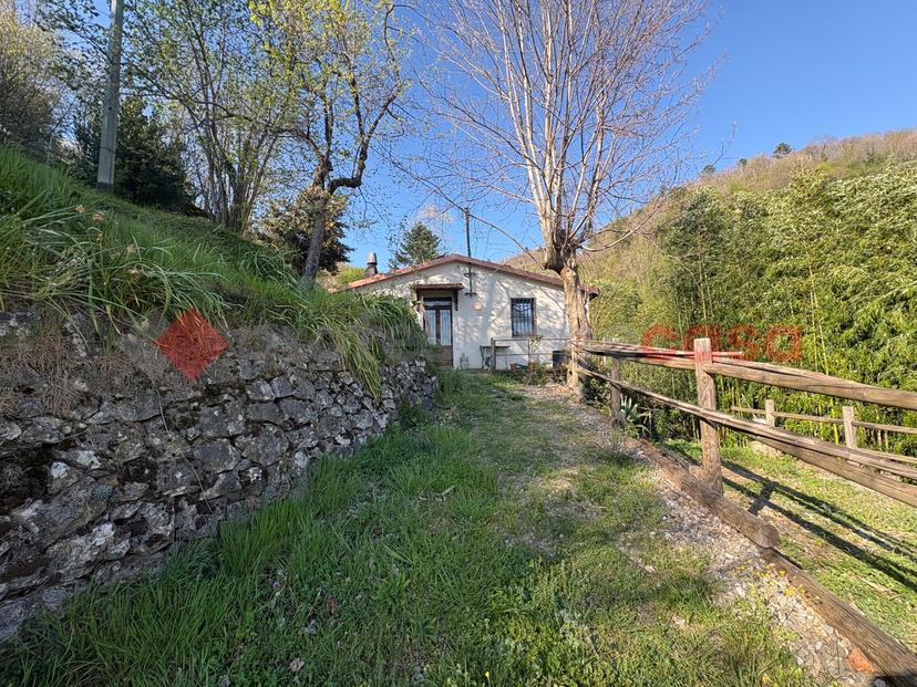 Rustico in Località Rio Villese- Albiano 1, Barga — foto 4 di 5