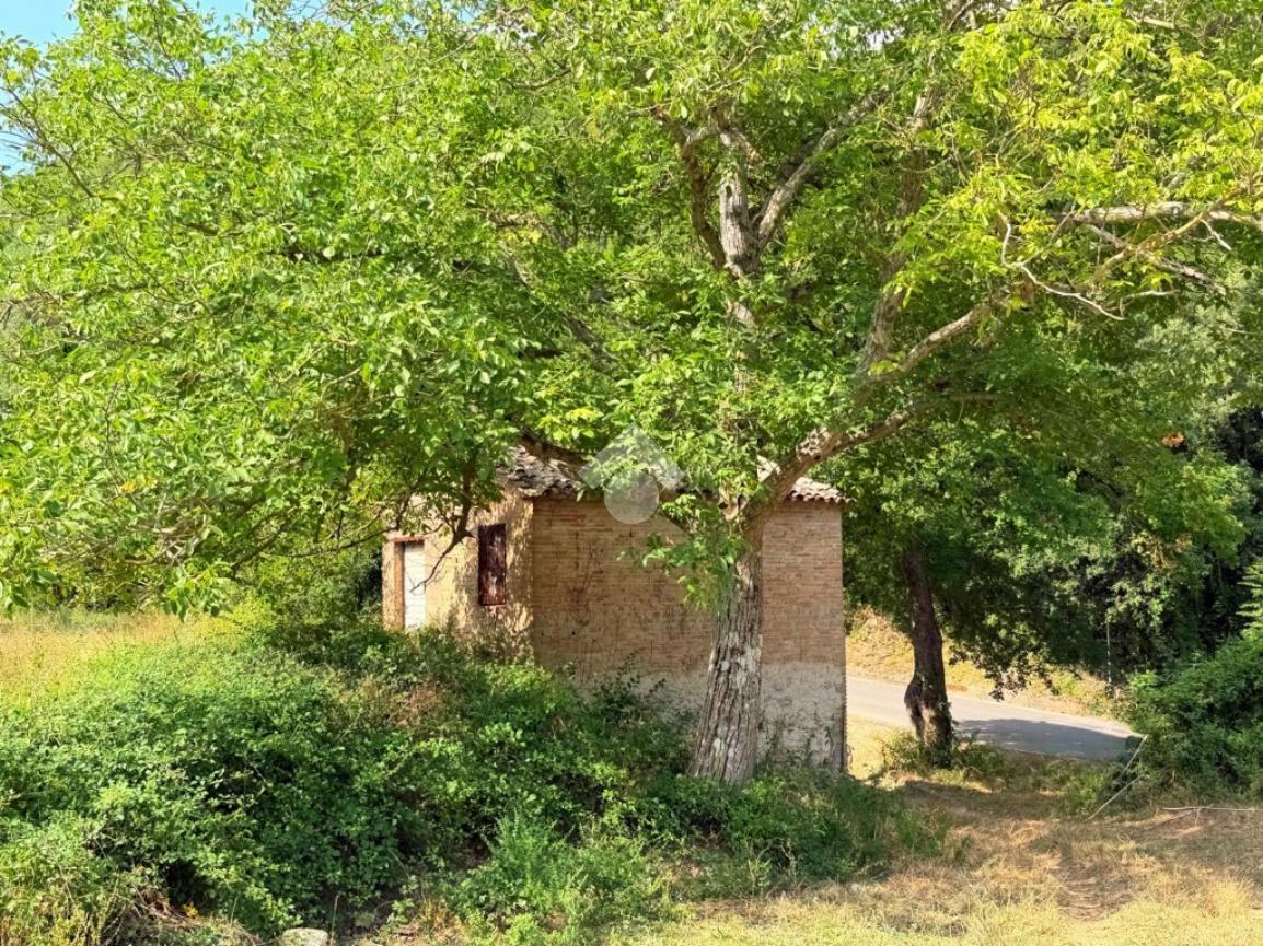 Rustico in Via Fontevecchia, Montasola