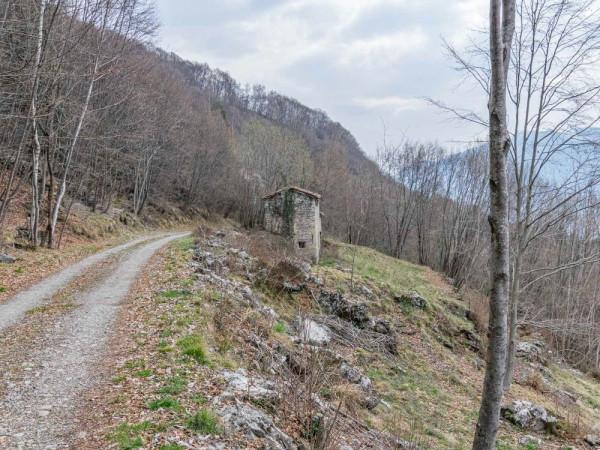 Rustico, Vedeseta — foto 2 di 5