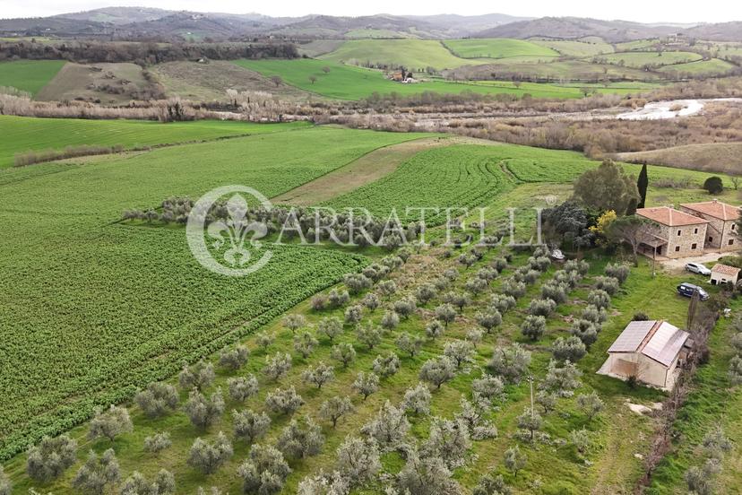 Rustico in Località Poggio alle Calle, Manciano — foto 2 di 5