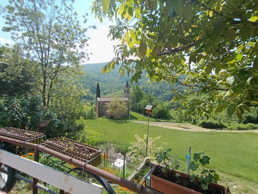 Villa a schiera, Pellegrino Parmense