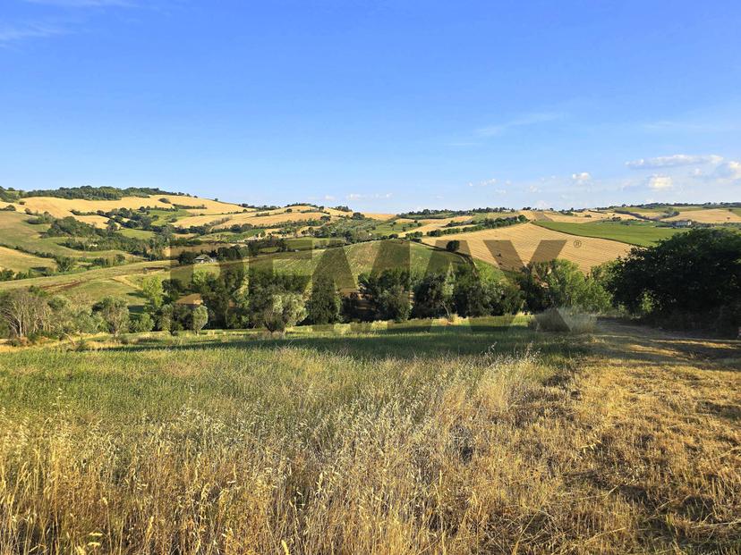Rustico, Potenza Picena — foto 3 di 5