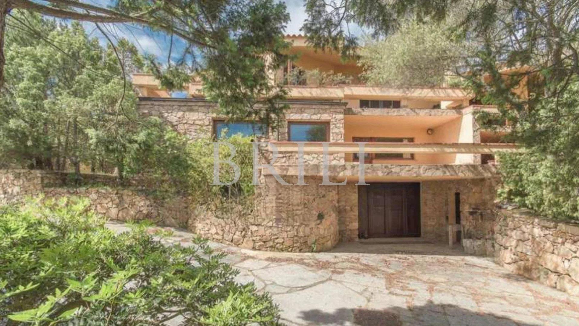 Casa indipendente, Palau
