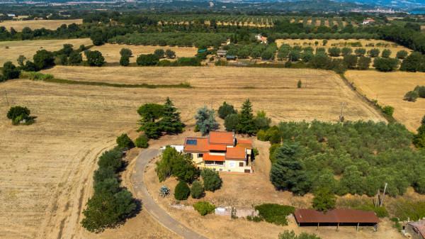 Villa, Viterbo — foto 4 di 5