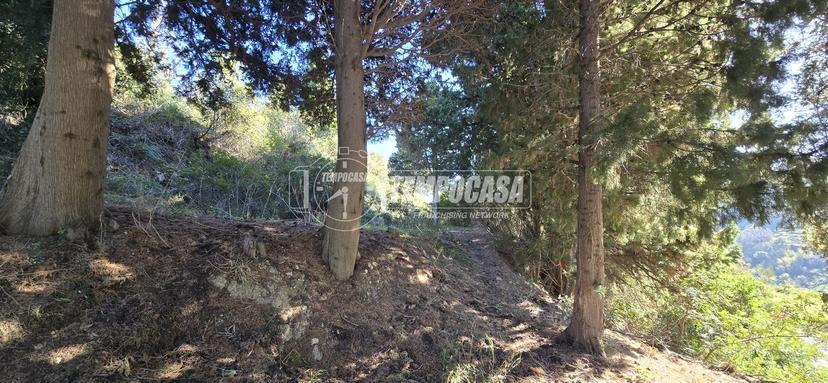 Casa colonica in Via Nazionale Gesso 1/Pinnari, Messina — foto 5 di 5