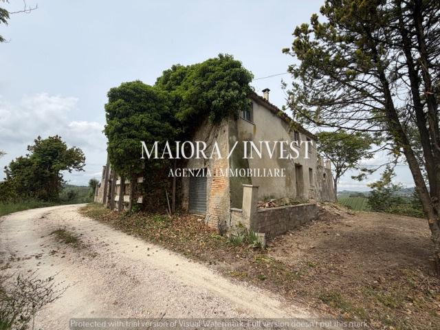 Rustico, Acquaviva Picena — foto 4 di 5