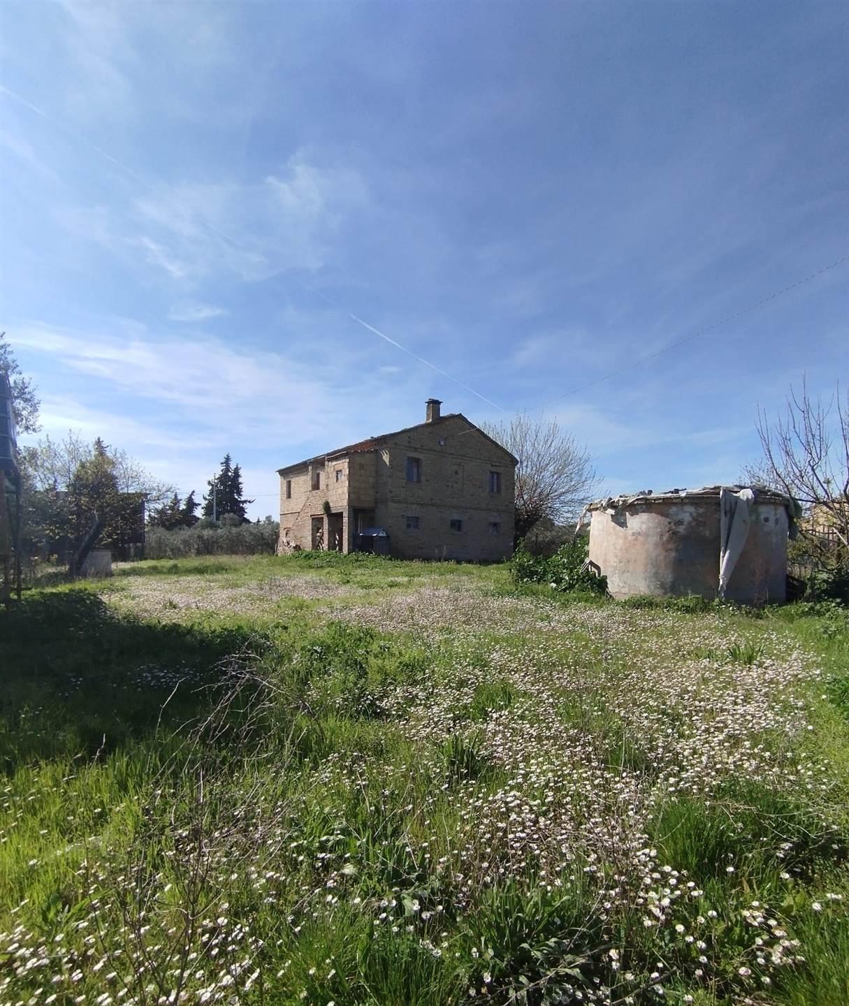 Rustico, Recanati