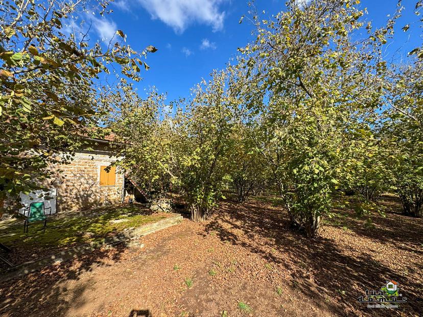 Casa indipendente, Sutri — foto 2 di 5