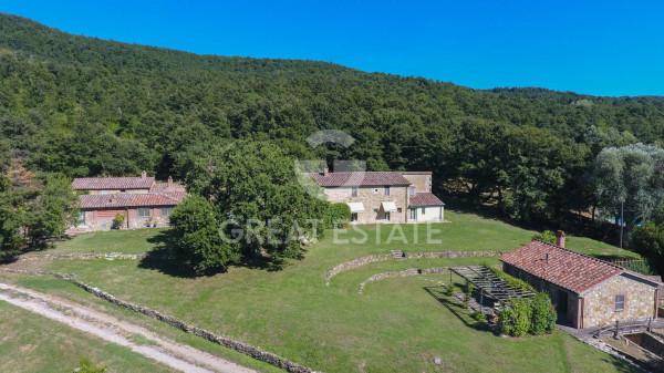Casale, San Casciano dei Bagni — foto 5 di 5